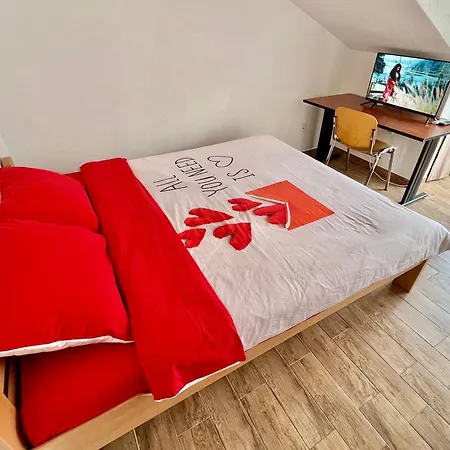 Homestay Lgbt Friendly - Shared